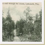 A_Trail_in_Ladysmith_Wisconsin * 562 x 367 * (48KB)
